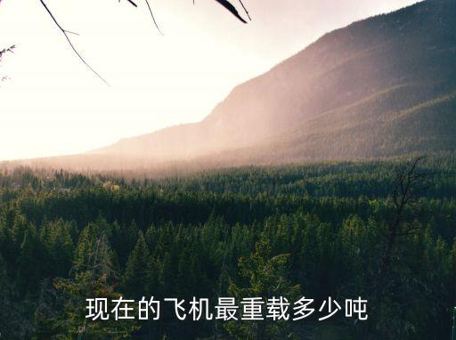 現(xiàn)在的飛機最重載多少噸