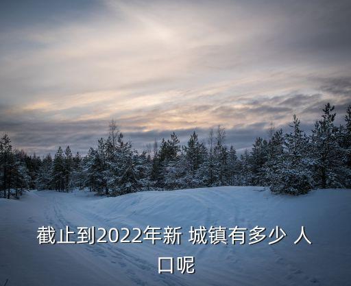 截止到2022年新 城鎮有多少 人口呢