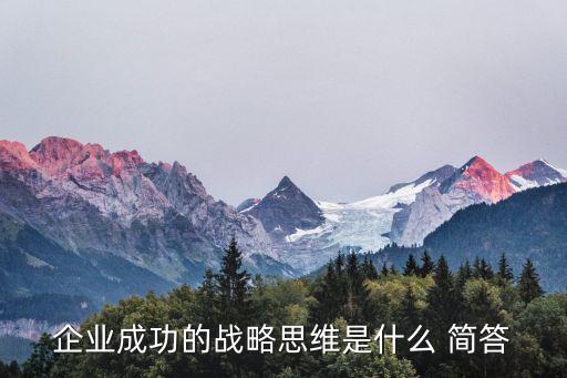企業(yè)成功的戰(zhàn)略思維是什么 簡答