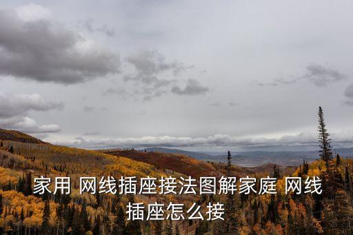 家用網線怎么接,這些電線怎么用!