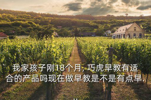 巧虎做布娃娃,中國巧虎比日本品牌巧虎更新了很多