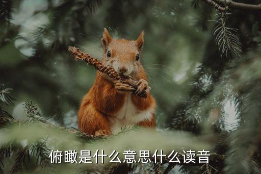 瞰望,從高處往下看:鳥瞰