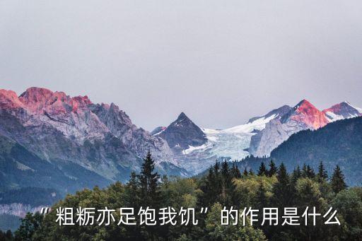 “ 粗糲亦足飽我饑”的作用是什么