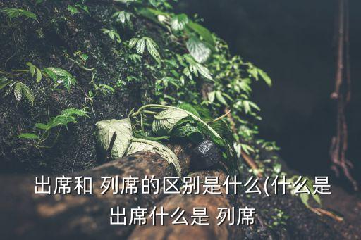 出席列席,從現場走向臺灣選舉結果