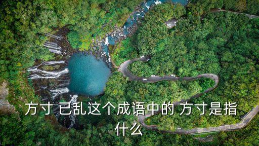 方寸已亂,我的心寸已亂絕對不是指人的心