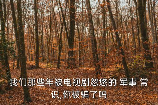 我們那些年被電視劇忽悠的 軍事 常識,你被騙了嗎