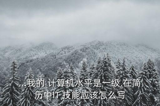 ...我的 計(jì)算機(jī)水平是一級(jí),在簡(jiǎn)歷中IT 技能應(yīng)該怎么寫