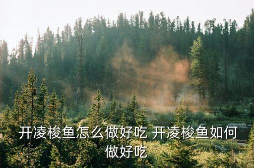 開凌梭,開凌梭魚湯出鍋魚香四溢