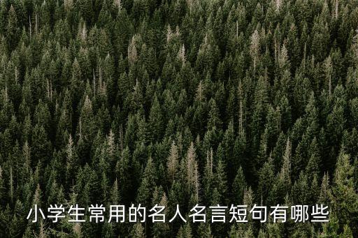 小學生常用的名人名言短句有哪些
