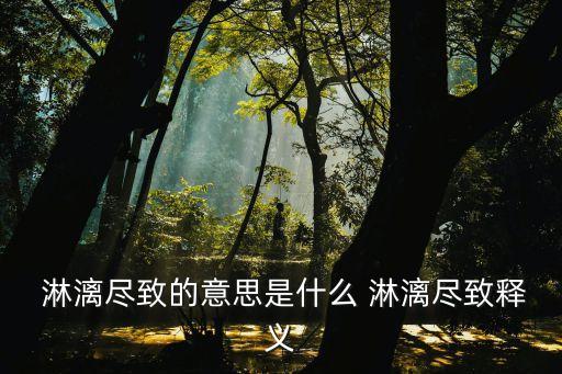  淋漓盡致的意思是什么 淋漓盡致釋義