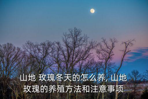 山地玫瑰怎么養,山地玫瑰適合盆栽但不宜過度干燥和炎熱