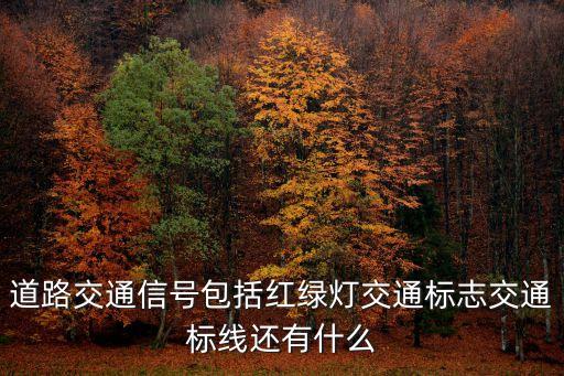 道路交通信號包括紅綠燈交通標(biāo)志交通標(biāo)線還有什么