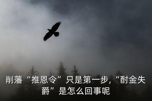 酎金,漢武帝以黃金分量不足為借口割掉諸侯地盤