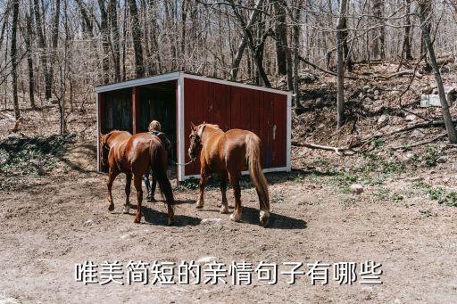 唯美簡短的親情句子有哪些