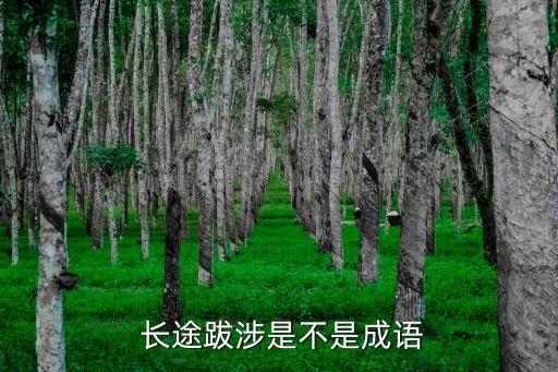 長途跋涉,【岳傳》第六十六回:長途跋涉釋義:跋山涉水過江