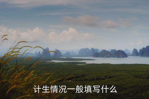  計生情況一般填寫什么