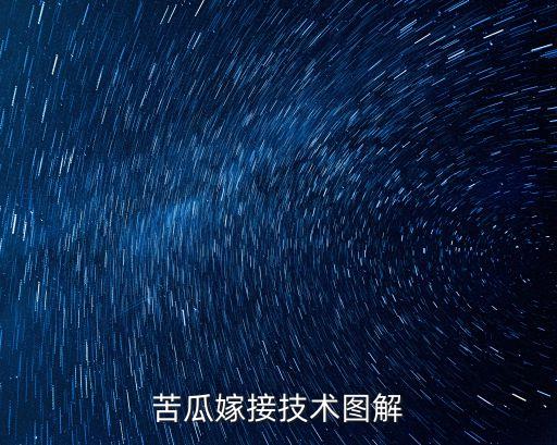苦瓜嫁接技術(shù)圖解