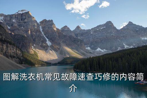 圖解洗衣機常見故障速查巧修的內容簡介