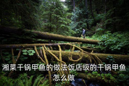干鍋八爪魚，湘菜干鍋甲魚的做法飯店級(jí)的干鍋甲魚怎么做