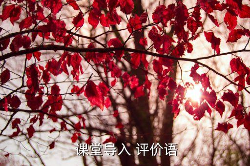  課堂導(dǎo)入 評(píng)價(jià)語