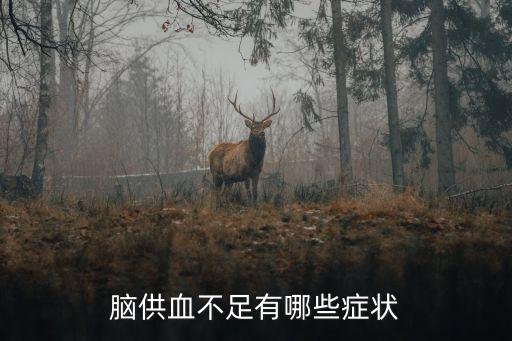 動(dòng)脈硬化的癥狀,太極拳對中樞神經(jīng)系統(tǒng)的作用