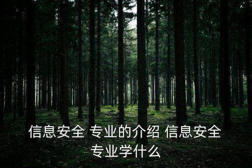  信息安全 專業的介紹 信息安全 專業學什么