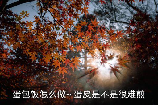 蛋包飯怎么做~ 蛋皮是不是很難煎