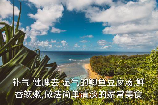 補(bǔ)氣 健脾去 濕氣的鯽魚豆腐湯,鮮香軟嫩,做法簡單清淡的家常美食