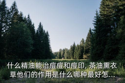 什么精油能治痘痘和痘印, 茶油熏衣草他們的作用是什么哪種最好怎...