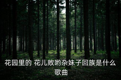 花園里的 花兒敗喲雜妹子回族是什么 歌曲