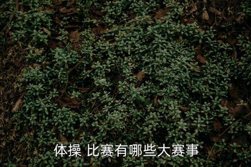 體操比賽,女子跳馬除外全國體操比賽每人只有一次機會