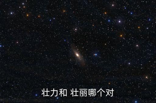壯力和 壯麗哪個對