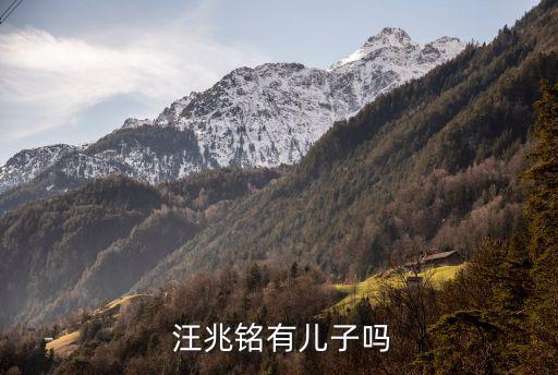  汪兆銘有兒子嗎