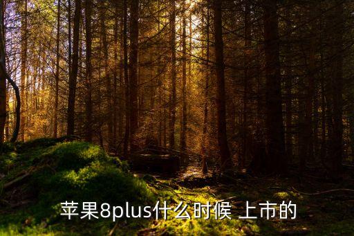  蘋(píng)果8plus什么時(shí)候 上市的