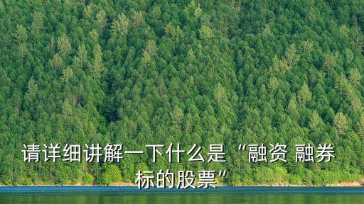 融券標的,證券法修訂前禁止融資類證券信用交易