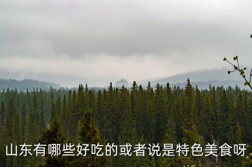 山東有哪些好吃的或者說是特色美食呀