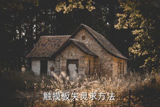 觸摸板失靈求方法