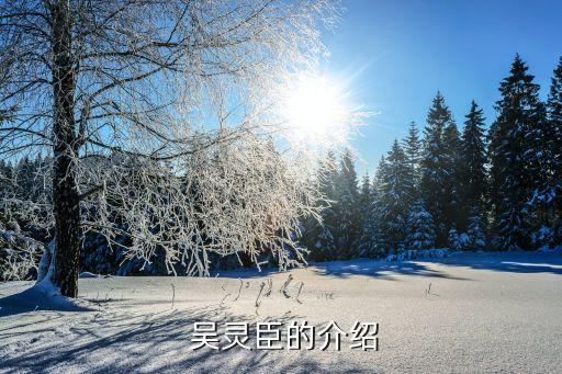 吳靈臣,曾任河南省濮陽市委書記吳靈臣被調(diào)查