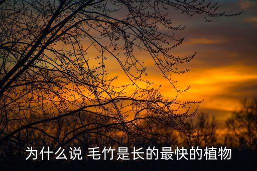 為什么說 毛竹是長的最快的植物