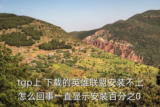  tgp上 下載的英雄聯(lián)盟安裝不上怎么回事一直顯示安裝百分之0