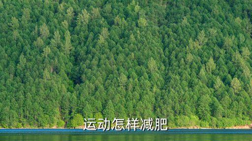 運動怎樣減肥