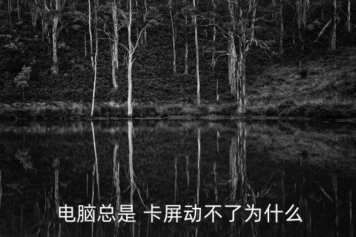  電腦總是 卡屏動不了為什么