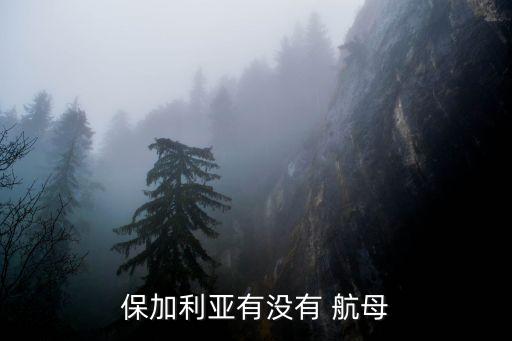 保加利亞有沒有 航母