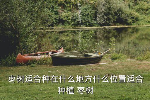 棗樹種植,這些棗樹不適合種在庭院正門