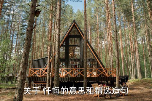 懺悔的意思,《意大利米納耶》悔和后悔的含義