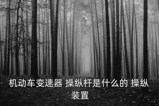 機動車變速器 操縱桿是什么的 操縱 裝置