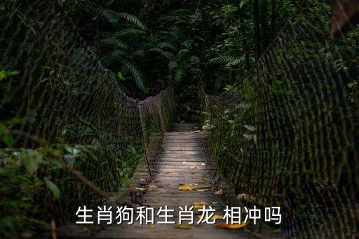 龍和狗相沖嗎,算命:狗龍相沖為六紅兼容性怎么樣?