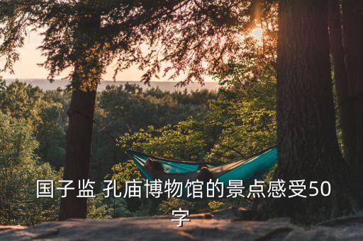 孔廟國子監,北京國子監有免費手冊講解和大屏幕講解
