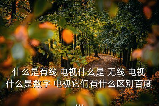什么是有線 電視什么是 無線 電視什么是數字 電視它們有什么區別百度...