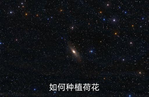 荷花怎么種，荷花的栽植方法和要求